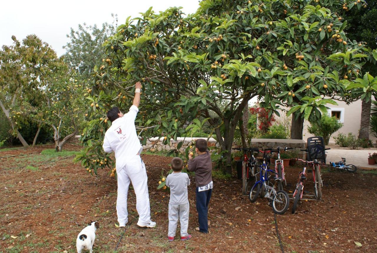 Hotel Agroturismo Can Gall Sant Joan De Labritja Exteriér fotografie